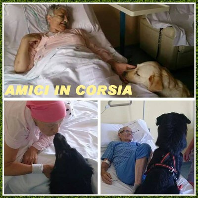 ANIMALI IN CORSIA.jpg