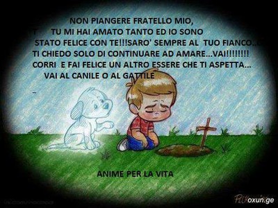 NON DIMENTICARE.jpg