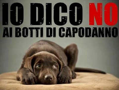 NO_AI_ BOTTI.jpg NO_AI_ BOTTI.jpg