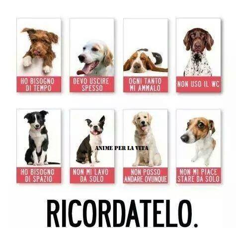 RICORDA.jpg