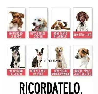 RICORDA.jpg